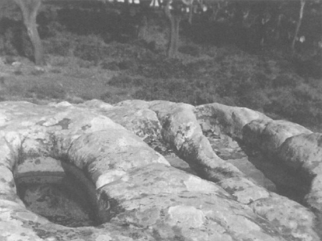 Spanien Provinz Cádiz:
Felsgräber Spanien Provinz Cádiz:
Felsgräber