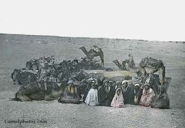 Bedouins: rest in an oval order