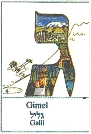 gimel Galil
