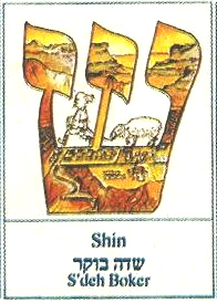 shin - S'deh Boker
