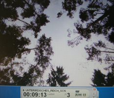 Fuel deposit near Bremen 01: a grove at
                            the entrance