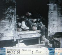 CC
                          of Dachau at the end of the war 03: detainees
                          almost dead in a box wagon