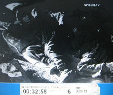 Kohnstein 48, detainees lying