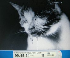 NS film
                        "Kampfstoffe" ("combat
                        agents") 09, saliva is coming out of the
                        cat's mouth