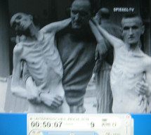 CC of Ebensee 07, emaciated detainee 02