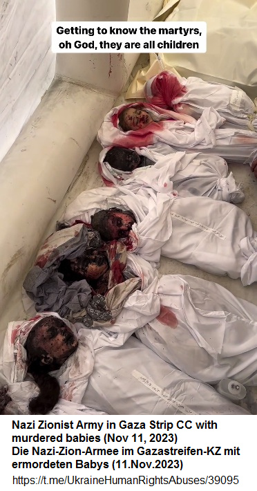 tote pal�stinensische Kinder
                sind f�r das Nazischwein Netanjahu und Galant immer eine
                Freude