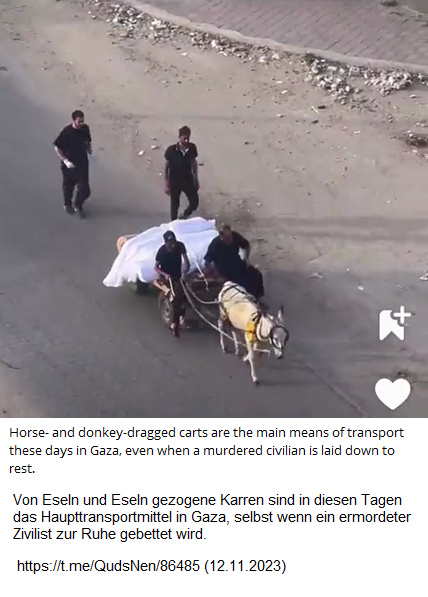 Gazastreifen-KZ 12.11.2023:
                Pal�stinenser transportieren Leichen auf dem Eselwagen