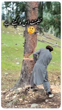 Tala del �rbol: El
                    �rbol se mantiene recto y no inclinado hasta el
                    final