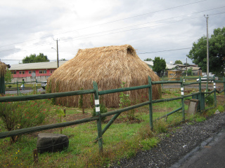 Temuco
                Cholchol, eine Ruca 01