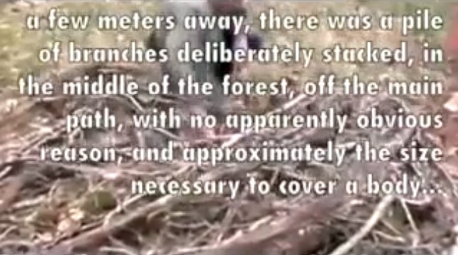 Holten (Holland): Pile of branches
                  at the stake in the forest