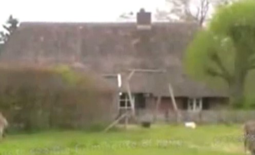 Holten
                (Holland), the farm of the Satanist Catholic
                grandparents, view from behind