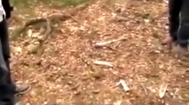 Holten (Holland), los restos
                de la hoguera en el bosque 02 (2h23'46'')