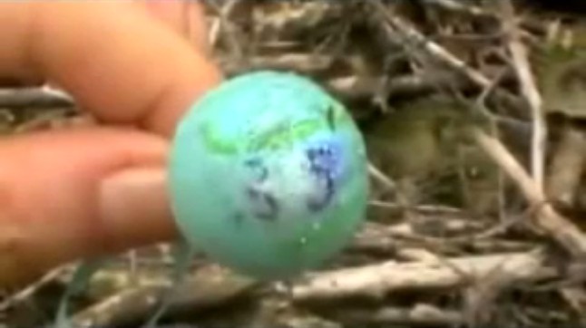 Holten
                    (Holland), a pendant of a girl from the forest
                    grave, close-up 01