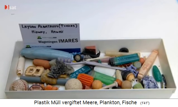 Plastik im Meer
                t�tet die V�gel: Das ist der Plastikm�ll von zwei
                Albatrossen