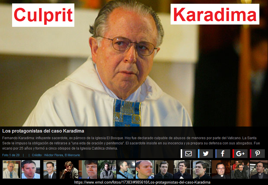 Animal
                  rapist gay priest Karadima with sexual abuse of
                  youths, some of his victims