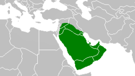 Karte mit dem
Fantasie-Kalifat unter Fantasie-Kalif Abu Bakr 634 Karte mit dem Fantasie-Kalifat
unter Fantasie-Kalif Abu Bakr 634