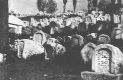 Jewish cemetery near Sarajevo, dating to the 17th
                  century. Courtesy Federation of Jewish Communities in
                  Yugoslavia, Belgrade