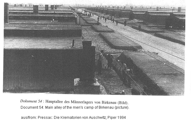 M�nnerlager Hauptallee / main avanue