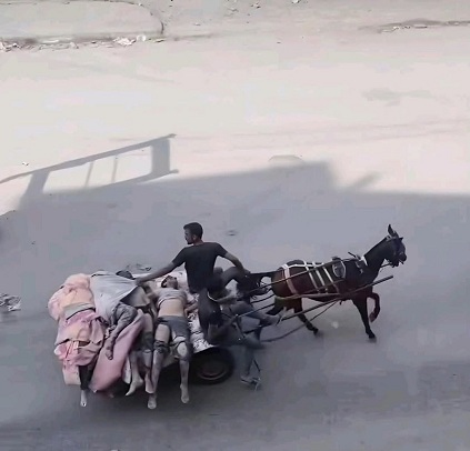 Killer-Israel im
                  Gazastreifen-KZ am 7.7.2025 - 19:15h: Alles morden,
                  alles killen, so dass Leichen auf dem Eselwagen
                  fahren