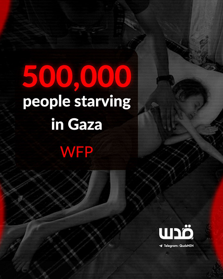 ZAHLEN
                  Killer-Israel spielt "Leningrad" im
                  Gazastreifen-KZ am 7.7.2025 - 19:19h: 500.000 Menschen
                  sind vor dem Hungertod - V�LKERMORD - - und der
                  Killer-Trump mit seiner "Foundation", deren
                  Leute gegen Pal�stinenser schiessen, hilft mit!