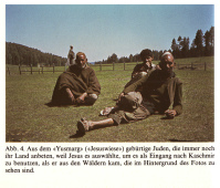 Jesuswiese ("Yusmarg") in Kaschmir