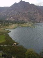 Yucatan / Yucat�n : Maya Garten an
                            der K�ste / Mayan Beach Garden / jardin en
                            la costa