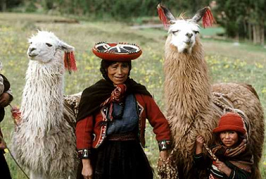 Peruvian natives
                          (ind�genas) with lamas